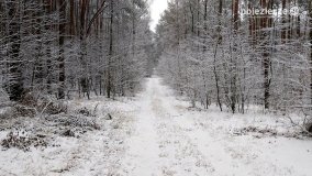 Zima na Pojezierzu Gnieźnieńskim... - zdjęcie 20