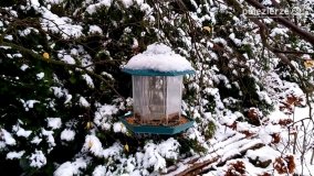 Zima na Pojezierzu Gnieźnieńskim... - zdjęcie 19