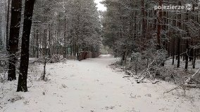 Zima na Pojezierzu Gnieźnieńskim... - zdjęcie 18