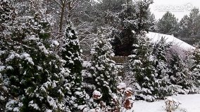 Zima na Pojezierzu Gnieźnieńskim... - zdjęcie 17