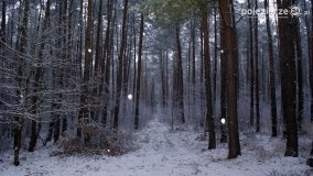 Zima na Pojezierzu Gnieźnieńskim... - zdjęcie 16