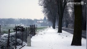 Zima na Pojezierzu Gnieźnieńskim... - zdjęcie 14