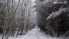 Zima na Pojezierzu Gnieźnieńskim... - zdjęcie 13