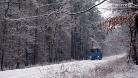 Zima na Pojezierzu Gnieźnieńskim... - zdjęcie 11
