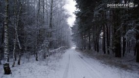 Zima na Pojezierzu Gnieźnieńskim... - zdjęcie 10