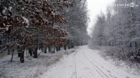 Zima na Pojezierzu Gnieźnieńskim... - zdjęcie 6