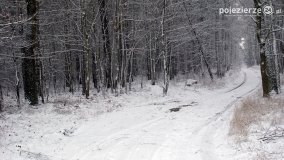 Zima na Pojezierzu Gnieźnieńskim... - zdjęcie 4