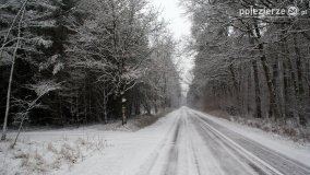 Zima na Pojezierzu Gnieźnieńskim... - zdjęcie 1