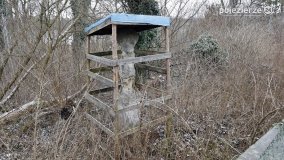 Powędrowali ku pamięci Pawła Występskiego - zdjęcie 88