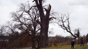 Powędrowali ku pamięci Pawła Występskiego - zdjęcie 78