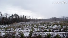 Powędrowali ku pamięci Pawła Występskiego - zdjęcie 36