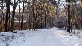 Pieszo przez Puszczę Zielonkę - zdjęcie 52