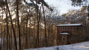 Pieszo przez Puszczę Zielonkę - zdjęcie 51