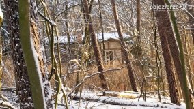 Pieszo przez Puszczę Zielonkę - zdjęcie 49