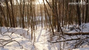 Pieszo przez Puszczę Zielonkę - zdjęcie 48