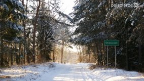 Pieszo przez Puszczę Zielonkę - zdjęcie 47