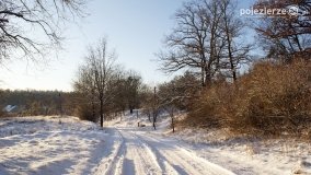 Pieszo przez Puszczę Zielonkę - zdjęcie 46