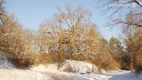 Pieszo przez Puszczę Zielonkę - zdjęcie 45