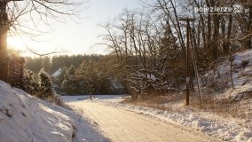 Pieszo przez Puszczę Zielonkę - zdjęcie 44