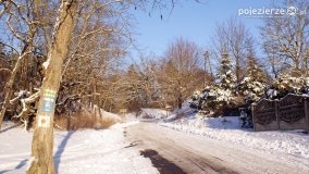 Pieszo przez Puszczę Zielonkę - zdjęcie 42