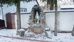 Pieszo przez Puszczę Zielonkę - zdjęcie 38