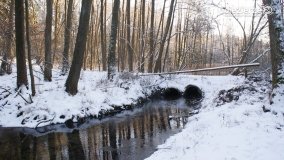 Pieszo przez Puszczę Zielonkę - zdjęcie 34