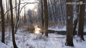 Pieszo przez Puszczę Zielonkę - zdjęcie 29