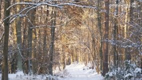 Pieszo przez Puszczę Zielonkę - zdjęcie 26