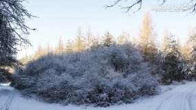 Pieszo przez Puszczę Zielonkę - zdjęcie 23