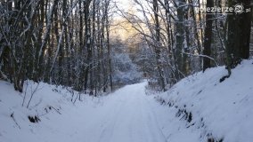 Pieszo przez Puszczę Zielonkę - zdjęcie 22