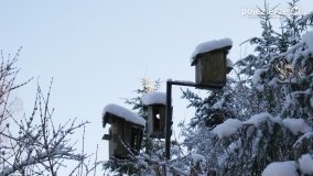 Pieszo przez Puszczę Zielonkę - zdjęcie 14