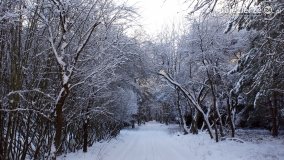 Pieszo przez Puszczę Zielonkę - zdjęcie 5