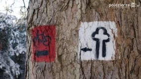 Pieszo przez Puszczę Zielonkę - zdjęcie 4