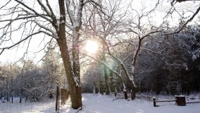 Pieszo przez Puszczę Zielonkę - zdjęcie 2