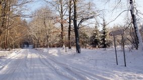 Pieszo przez Puszczę Zielonkę - zdjęcie 1