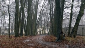 Kopiec Kościuszki, czyli park w Objezierzu - zdjęcie 22