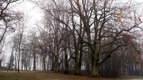 Kopiec Kościuszki, czyli park w Objezierzu - zdjęcie 20