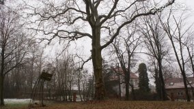 Kopiec Kościuszki, czyli park w Objezierzu - zdjęcie 18