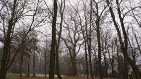 Kopiec Kościuszki, czyli park w Objezierzu - zdjęcie 17