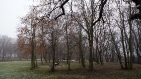 Kopiec Kościuszki, czyli park w Objezierzu - zdjęcie 15