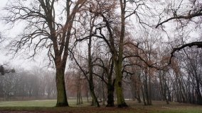 Kopiec Kościuszki, czyli park w Objezierzu - zdjęcie 11