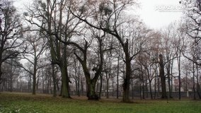 Kopiec Kościuszki, czyli park w Objezierzu - zdjęcie 6