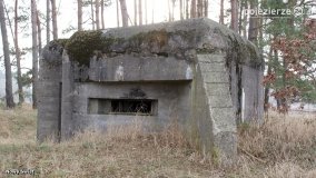 Żnińskie schrony czekają na odkrycie - zdjęcie 32