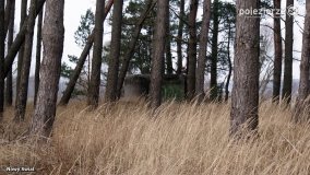 Żnińskie schrony czekają na odkrycie - zdjęcie 29