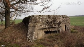 Żnińskie schrony czekają na odkrycie - zdjęcie 26