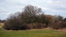 Poznaliśmy skarby Łubowa - zdjęcie 30