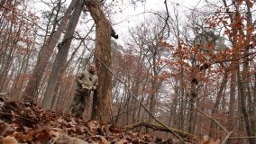 Rezerwat Las Mieszany - zdjęcie 40