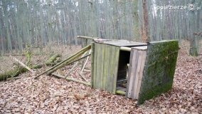 Rezerwat Las Mieszany - zdjęcie 26