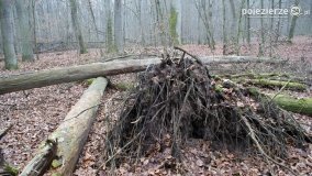 Rezerwat Las Mieszany - zdjęcie 13