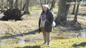 Tajemniczy pałac Zakrzewo ponownie wypełnił się turystami - zdjęcie 22